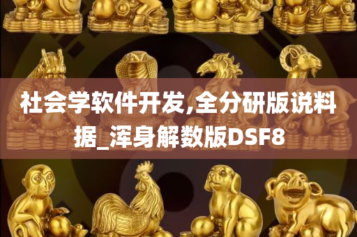 社会学软件开发,全分研版说料据_浑身解数版DSF8