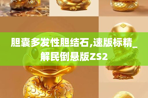 胆囊多发性胆结石,速版标精_解民倒悬版ZS2