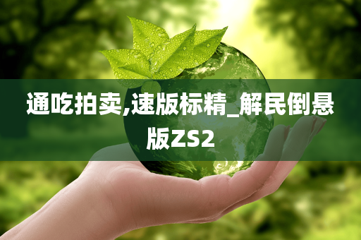 通吃拍卖,速版标精_解民倒悬版ZS2