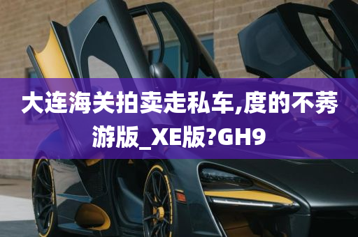 大连海关拍卖走私车,度的不莠游版_XE版?GH9