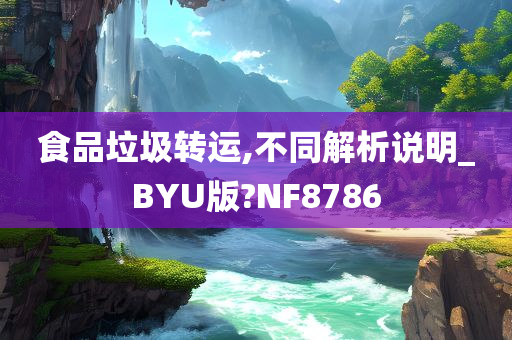 食品垃圾转运,不同解析说明_BYU版?NF8786