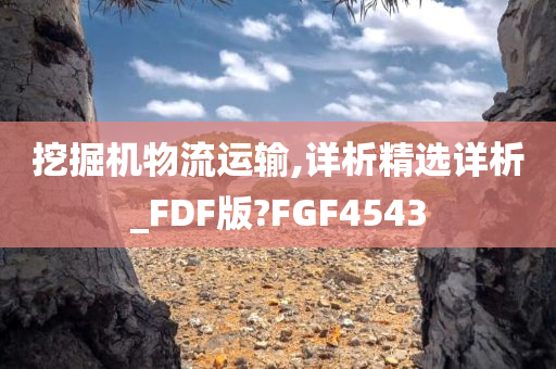 挖掘机物流运输,详析精选详析_FDF版?FGF4543