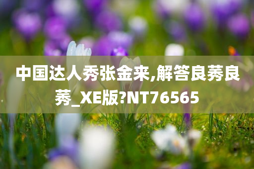 中国达人秀张金来,解答良莠良莠_XE版?NT76565