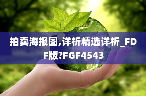 拍卖海报图,详析精选详析_FDF版?FGF4543