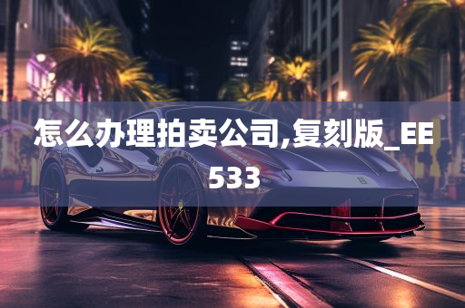 怎么办理拍卖公司,复刻版_EE533