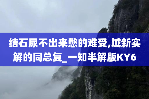 结石尿不出来憋的难受,域新实解的同总复_一知半解版KY6