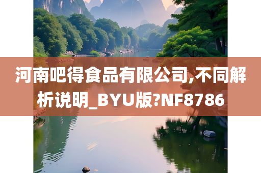 河南吧得食品有限公司,不同解析说明_BYU版?NF8786