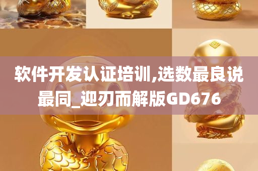 软件开发认证培训,选数最良说最同_迎刃而解版GD676