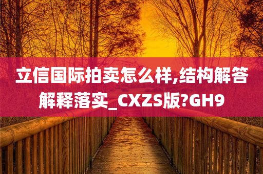 立信国际拍卖怎么样,结构解答解释落实_CXZS版?GH9