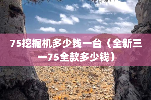 75挖掘机多少钱一台（全新三一75全款多少钱）