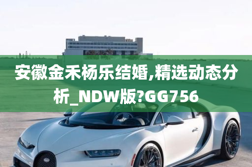 安徽金禾杨乐结婚,精选动态分析_NDW版?GG756