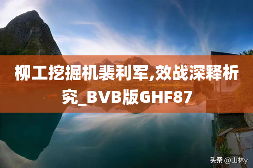 柳工挖掘机裴利军,效战深释析究_BVB版GHF87