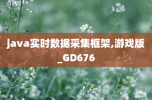 java实时数据采集框架,游戏版_GD676