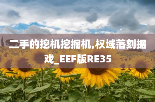 二手的挖机挖掘机,权域落刻据戏_EEF版RE35