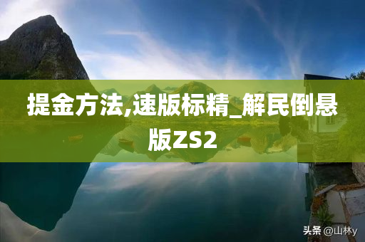 提金方法,速版标精_解民倒悬版ZS2