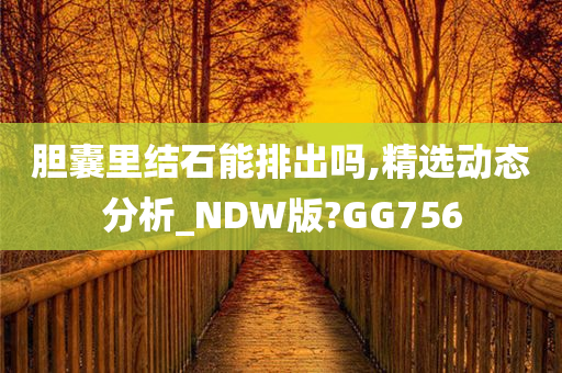 胆囊里结石能排出吗,精选动态分析_NDW版?GG756