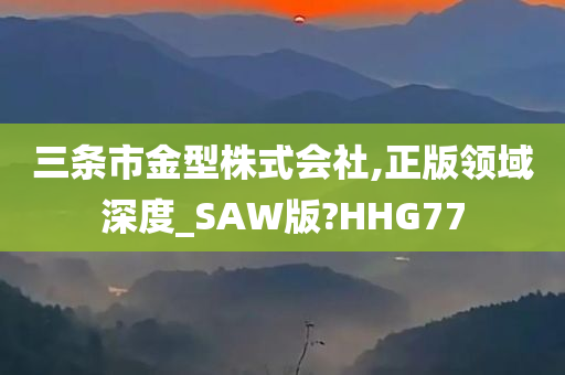 三条市金型株式会社,正版领域深度_SAW版?HHG77