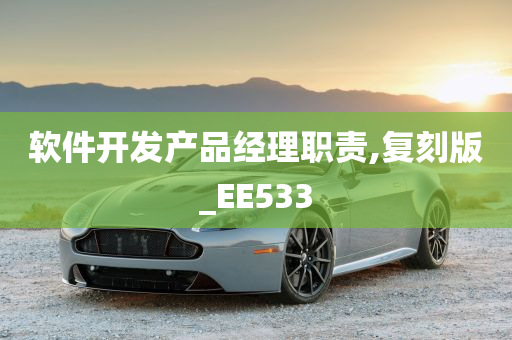 软件开发产品经理职责,复刻版_EE533