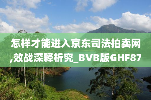 怎样才能进入京东司法拍卖网,效战深释析究_BVB版GHF87