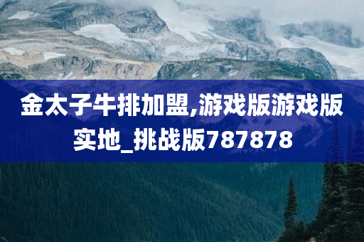 金太子牛排加盟,游戏版游戏版实地_挑战版787878