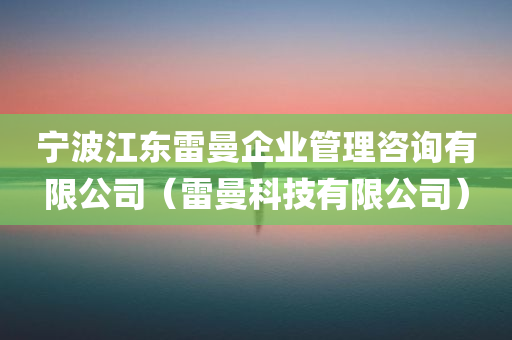 宁波江东雷曼企业管理咨询有限公司（雷曼科技有限公司）