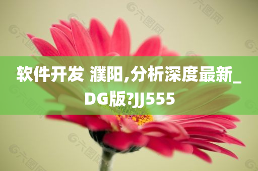 软件开发 濮阳,分析深度最新_DG版?JJ555