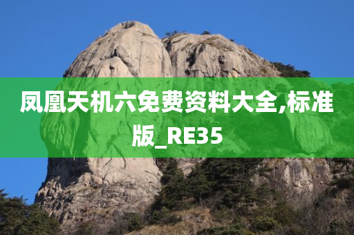 凤凰天机六免费资料大全,标准版_RE35