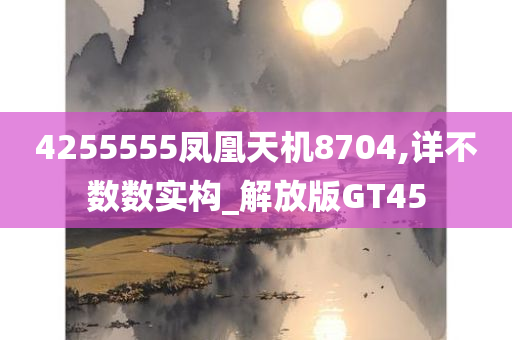 4255555凤凰天机8704,详不数数实构_解放版GT45