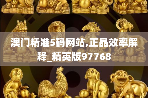 澳门精准5码网站,正品效率解释_精英版97768