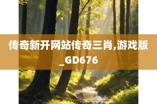 传奇新开网站传奇三肖,游戏版_GD676