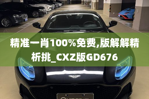 精准一肖100%免费,版解解精析挑_CXZ版GD676