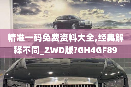 精准一码免费资料大全,经典解释不同_ZWD版?GH4GF89