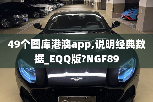 49个图库港澳app,说明经典数据_EQQ版?NGF89