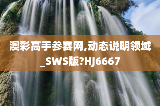 澳彩高手参赛网,动态说明领域_SWS版?HJ6667