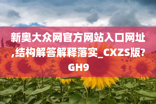 新奥大众网官方网站入口网址,结构解答解释落实_CXZS版?GH9