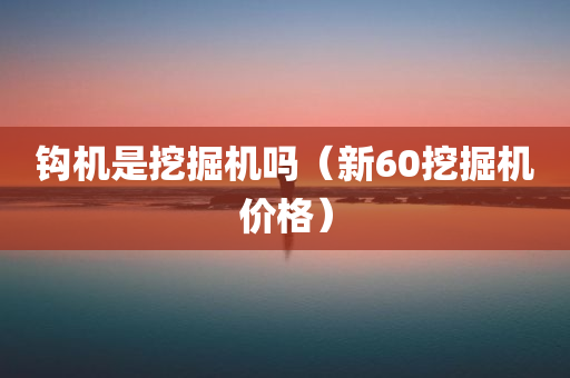 钩机是挖掘机吗（新60挖掘机价格）