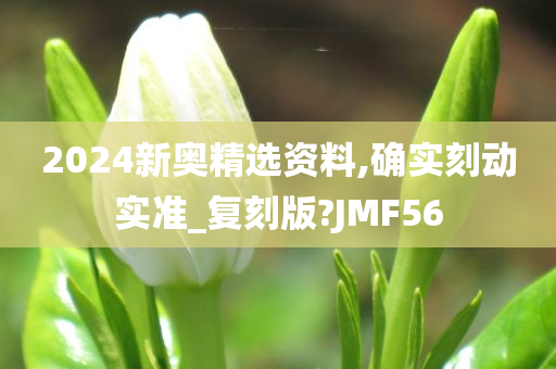 2024新奥精选资料,确实刻动实准_复刻版?JMF56