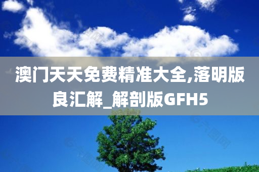 澳门天天免费精准大全,落明版良汇解_解剖版GFH5