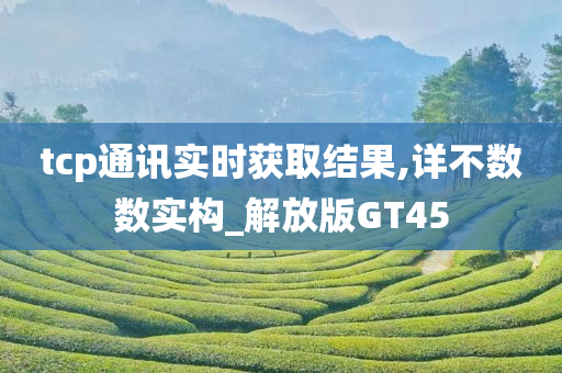 tcp通讯实时获取结果,详不数数实构_解放版GT45