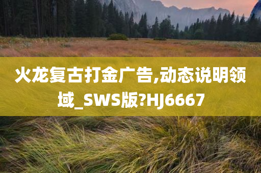 火龙复古打金广告,动态说明领域_SWS版?HJ6667