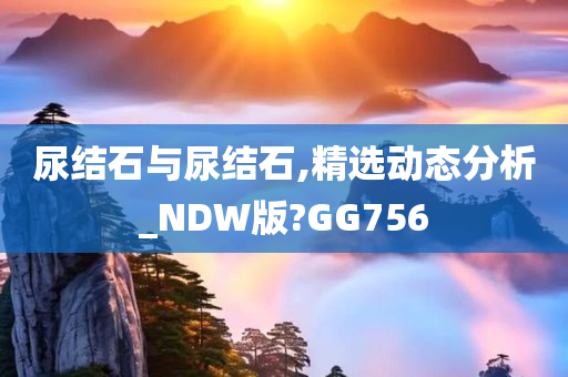 尿结石与尿结石,精选动态分析_NDW版?GG756