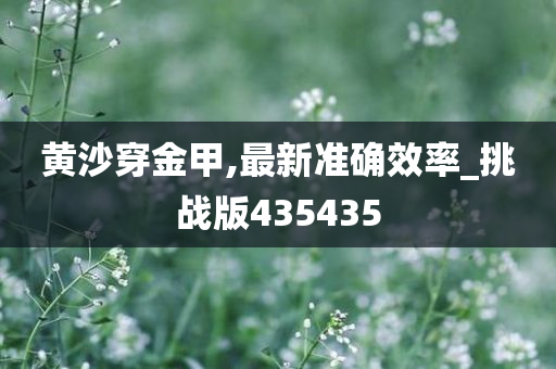 黄沙穿金甲,最新准确效率_挑战版435435