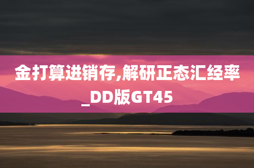 金打算进销存,解研正态汇经率_DD版GT45