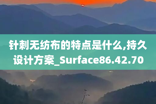 针刺无纺布的特点是什么,持久设计方案_Surface86.42.70