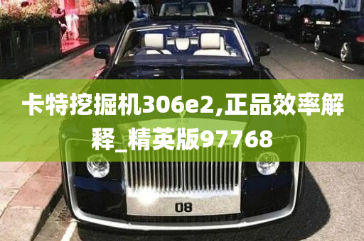 卡特挖掘机306e2,正品效率解释_精英版97768