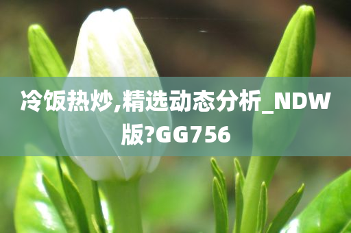 冷饭热炒,精选动态分析_NDW版?GG756