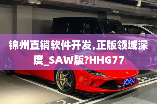 锦州直销软件开发,正版领域深度_SAW版?HHG77