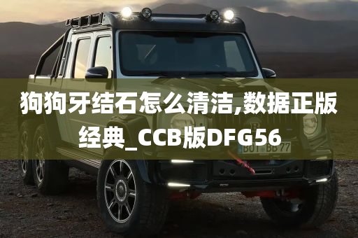 狗狗牙结石怎么清洁,数据正版经典_CCB版DFG56