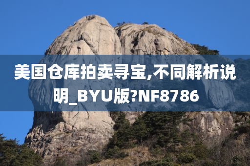 美国仓库拍卖寻宝,不同解析说明_BYU版?NF8786