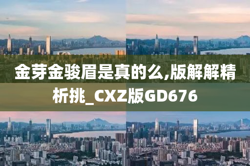 金芽金骏眉是真的么,版解解精析挑_CXZ版GD676